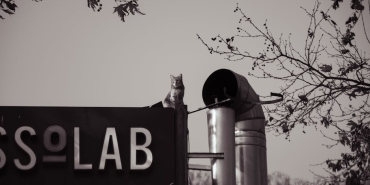 Istanbul-Beyaz-Ortu-Altinda-Kent-Hayati-Felc-Oldu-featured