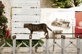 Tan-Sagturk-Kultur-ve-Turizm-Bakan-Yardimcisi-Olarak-Atandi-featured