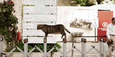 Tan-Sagturk-Kultur-ve-Turizm-Bakan-Yardimcisi-Olarak-Atandi-featured