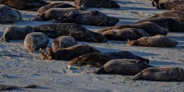 Olimpos8217ta-Kacak-Yapilasmaya-Muhur-Dogal-Guzellikler-Koruma-Altinda-featured
