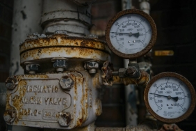 Bodrum8217da-19-Metre-Capinda-Bin-Yillik-Dev-Citlenbik-Agaci-Kesfedildi-featured