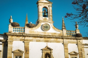 Bursa8217da-Leylek-Sevinci-Yaren-ve-Can-Yuvalarina-Geri-Dondu-featured