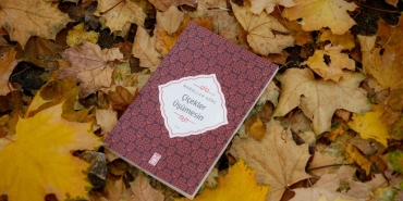 Ormanin-Hayaleti-Yaprak-Gibi-Bocegin-Nadir-Ciglik-Ani-Kamerada-featured