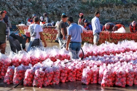 Kirklareli8217nde-Ciftci-Gecim-Kaynagi-Urununu-Neden-Bedava-Dagitti-featured